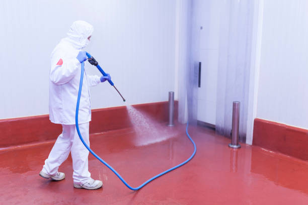 Pre-Holiday Cleaning in Anna, TX